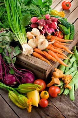 VegetableVirticleiStock_000004024312Small-1 (Small).jpg